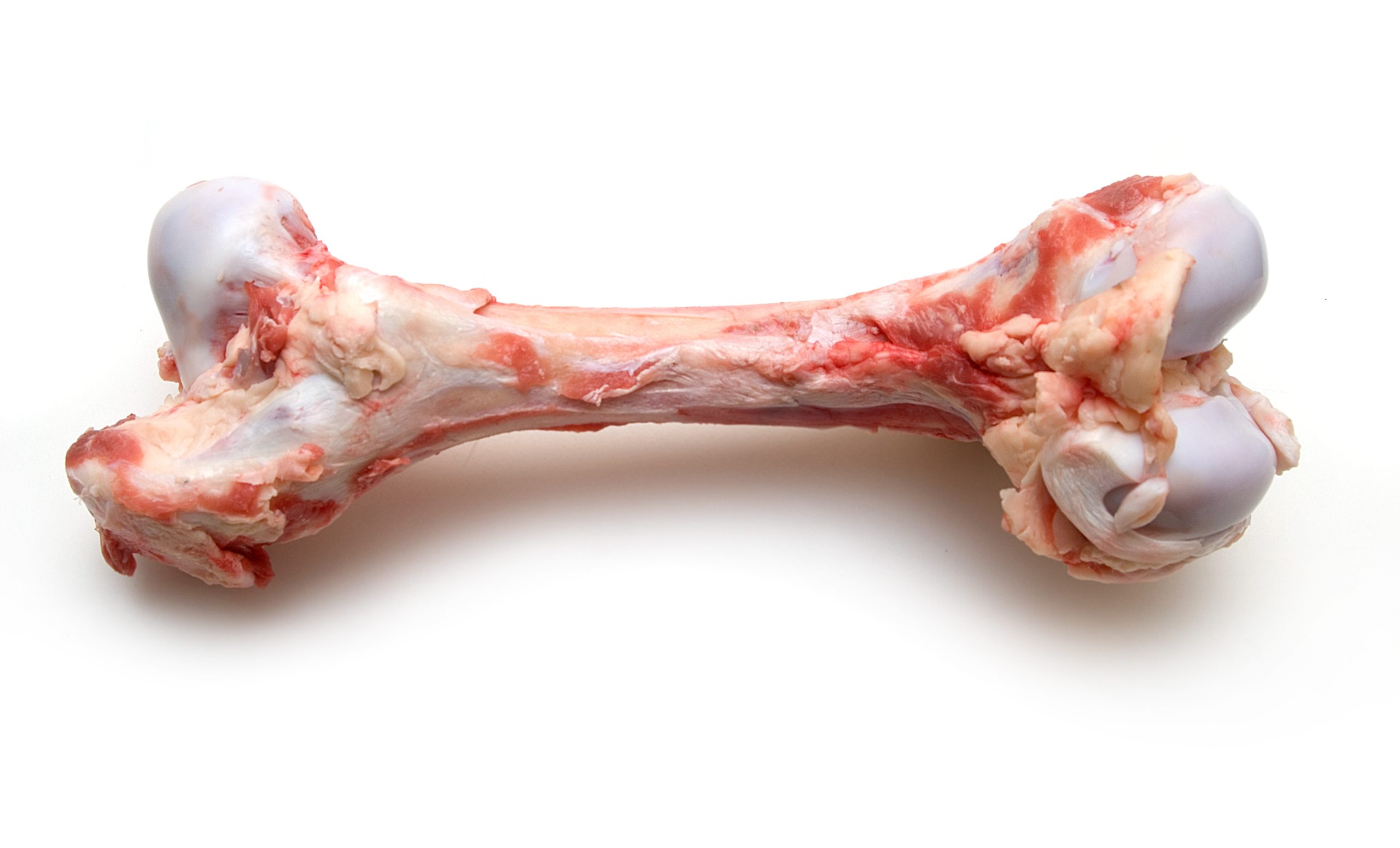 Beef Marrow Bones