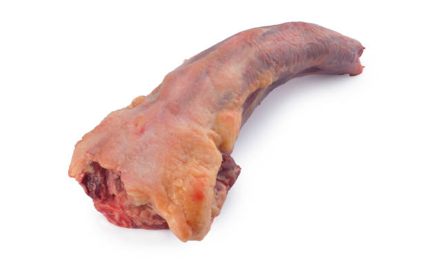 Beef Oxtail